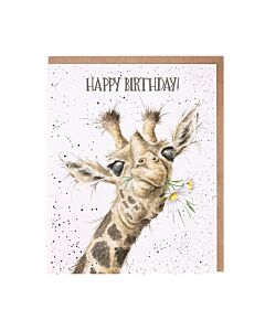 Wrendale Designs "Just Purrrfect" Cat Birthday Card